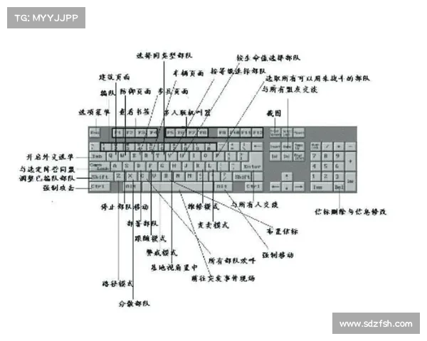 红警操作指南:战略决策与实战技巧 红警操作指南:战略决策与实战技巧
