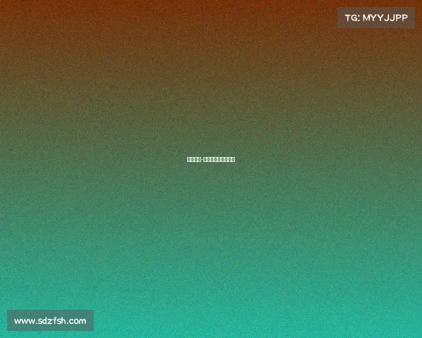 峨眉电商-峨眉之巅，电竞争锋